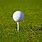 Picture of Golf Ball