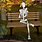 Picture of Skeleton Sitting On a Bench