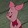Pig Piglet From Winnie the Pooh