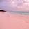 Pink Beaches Bahamas