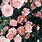 Pink Floral Aesthetic Wallpaper