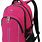 Pink Laptop Backpack