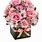 Pink Roses Gift