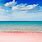Pink Sand Beach Caribbean