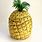 Plastic Pineapple