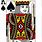 Playing Card King Spade