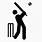 Playing Cricket Icon