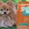 Pomeranian Dog Food