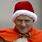 Pope Benedict XVI Hat