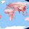 Population Map of World