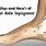 Posterior Ankle Pain