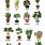Potted Indoor Plant Names
