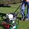 Powered Reel Mower