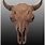 Prehistoric Bison Skull