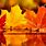 Pretty Fall Leaves Backgrounds