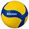Professional Volleyball Ball