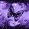 Purple Butterfly Animated