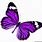 Purple Butterfly Graphics