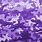 Purple Camouflage