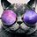 Purple Cat with Glasses