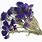 Purple Dried Flowers