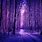 Purple Forest Art