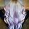 Purple Gradient Hair