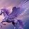 Purple Pegasus