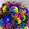 Rainbow Flower Arrangements