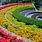 Rainbow Flower Garden