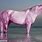 Rare Pink Horses
