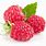 Raspberry Berry