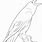Raven Bird Coloring Pages