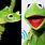 Real Kermit Frog