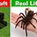 Real Life Minecraft Spider