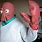 Real Life Zoidberg