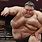 Real Sumo Wrestler