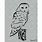 Realistic Owl Stencil