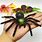 Realistic Toy Spiders