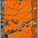 Realtree Orange Camo