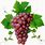 Red Grapes HD Image