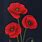 Red Poppy Flower Painting