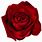 Red Rose Graphic