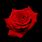 Red Rose in Black Background