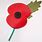 Remembrance Day Poppy Pictures