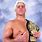 Ric Flair Images