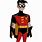 Robin Animated Series