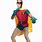 Robin Costume Men