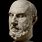 Roman Philosopher Varro Bust