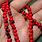 Rosary Pea Jewelry